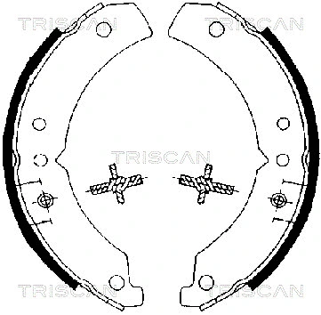 8100 10020 TRISCAN Комплект тормозных колодок (фото 2)