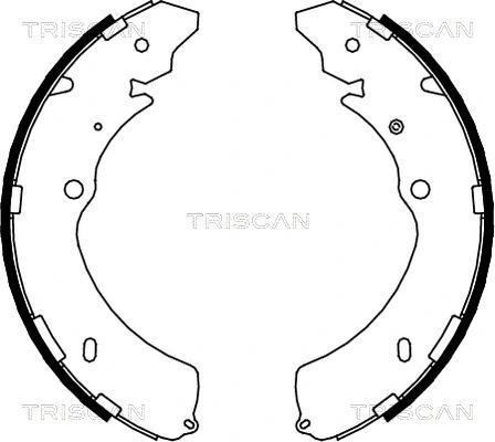 8100 10032 TRISCAN Комплект тормозных колодок (фото 1)