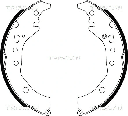 8100 10039 TRISCAN Комплект тормозных колодок (фото 1)