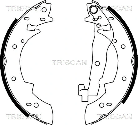 8100 10307 TRISCAN Комплект тормозных колодок (фото 1)
