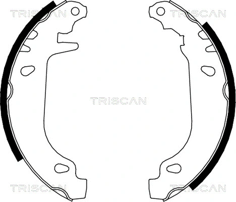 8100 10545 TRISCAN Комплект тормозных колодок (фото 1)