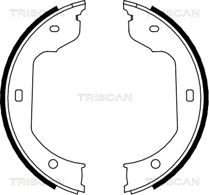 8100 11012 TRISCAN Комплект тормозных колодок (фото 1)