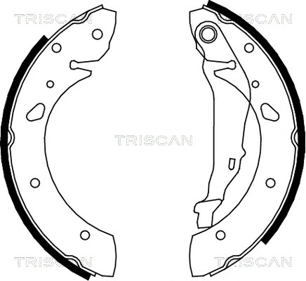 8100 13624 TRISCAN Комплект тормозных колодок (фото 1)