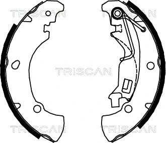 8100 15017 TRISCAN Комплект тормозных колодок (фото 1)