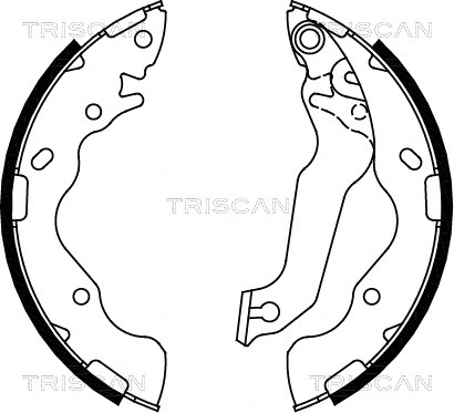 8100 18009 TRISCAN Комплект тормозных колодок (фото 1)