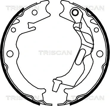 8100 21001 TRISCAN Комплект тормозных колодок (фото 1)