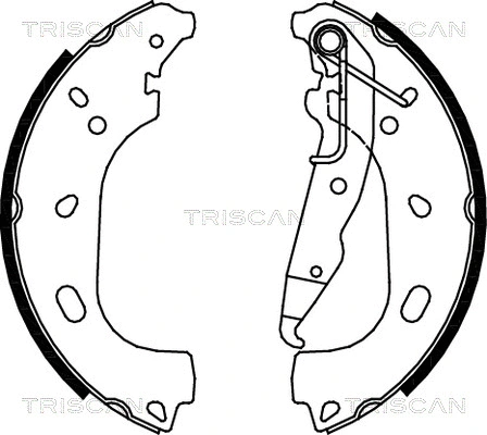8100 24004 TRISCAN Комплект тормозных колодок (фото 1)