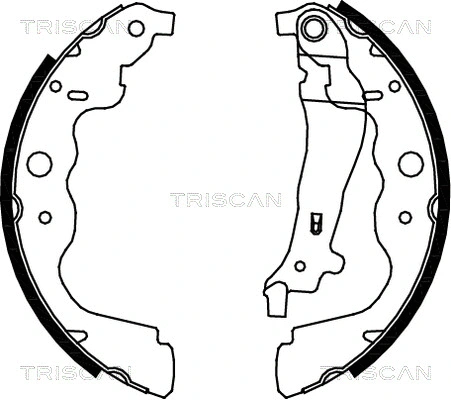 8100 25004 TRISCAN Комплект тормозных колодок (фото 1)