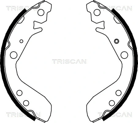 8100 40006 TRISCAN Комплект тормозных колодок (фото 1)