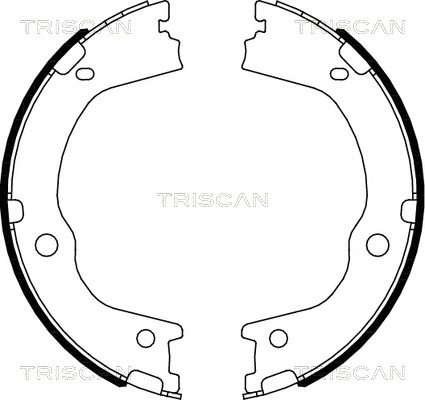 8100 43027 TRISCAN Комплект тормозных колодок (фото 1)
