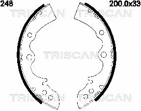 8100 50248 TRISCAN Комплект тормозных колодок (фото 1)
