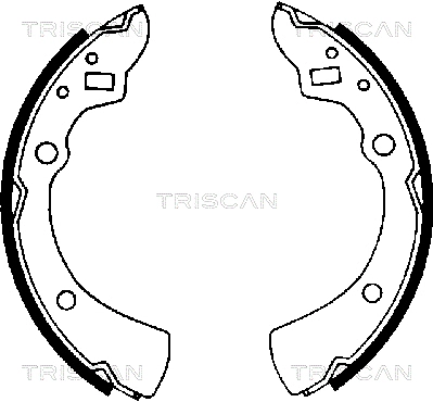 8100 50359 TRISCAN Комплект тормозных колодок (фото 1)