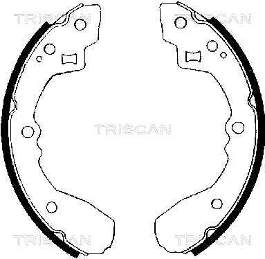 8100 50406 TRISCAN Комплект тормозных колодок (фото 1)