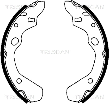 8100 50500 TRISCAN Комплект тормозных колодок (фото 1)