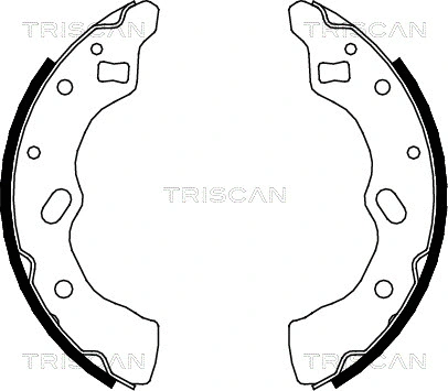 8100 50556 TRISCAN Комплект тормозных колодок (фото 1)