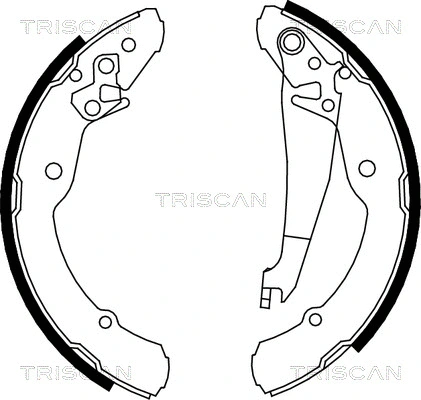 8100 67631 TRISCAN Комплект тормозных колодок (фото 1)