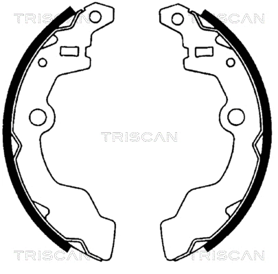 8100 69567 TRISCAN Комплект тормозных колодок (фото 1)