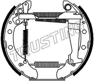 6143 TRUSTING Комплект тормозных колодок (фото 1)