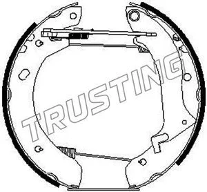 629.0 TRUSTING Комплект тормозных колодок, дисковый тормоз (фото 2)