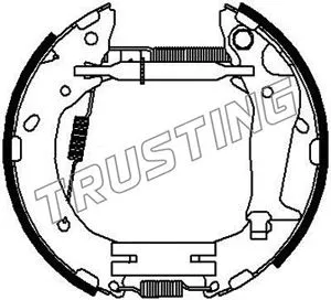 636.0 TRUSTING Комплект тормозных колодок, дисковый тормоз (фото 2)