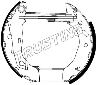 6483 TRUSTING Комплект тормозных колодок (фото 1)