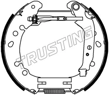6489 TRUSTING Комплект тормозных колодок (фото 1)