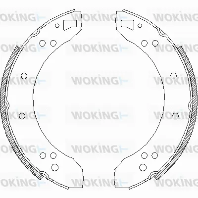 Z4621.00 WOKING Комплект тормозных колодок (фото 1)
