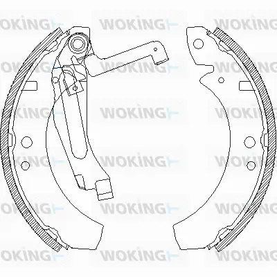Z4691.00 WOKING Комплект тормозных колодок (фото 1)