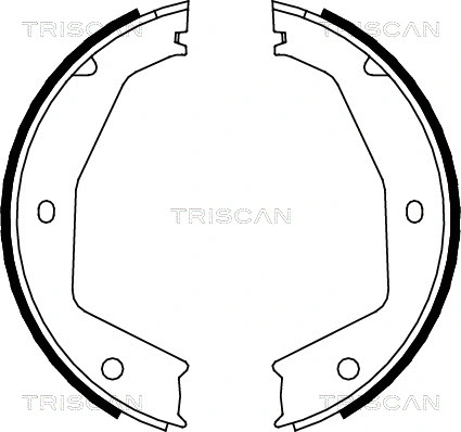 8100 10034 TRISCAN Комплект тормозных колодок, стояночная тормозная система (фото 1)