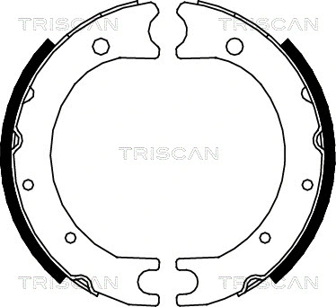 8100 13036 TRISCAN Комплект тормозных колодок, стояночная тормозная система (фото 1)