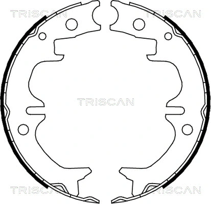 8100 13038 TRISCAN Комплект тормозных колодок, стояночная тормозная система (фото 1)