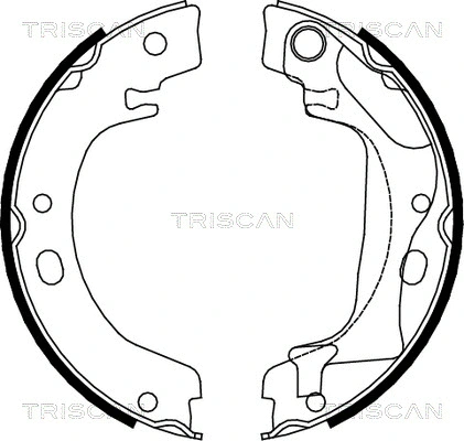 8100 13041 TRISCAN Комплект тормозных колодок, стояночная тормозная система (фото 1)