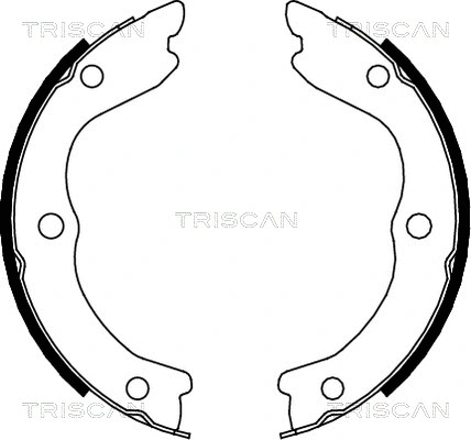 8100 14006 TRISCAN Комплект тормозных колодок, стояночная тормозная система (фото 1)