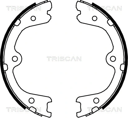 8100 14008 TRISCAN Комплект тормозных колодок, стояночная тормозная система (фото 1)