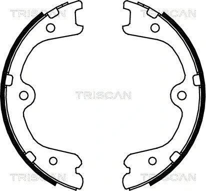 8100 14009 TRISCAN Комплект тормозных колодок, стояночная тормозная система (фото 1)