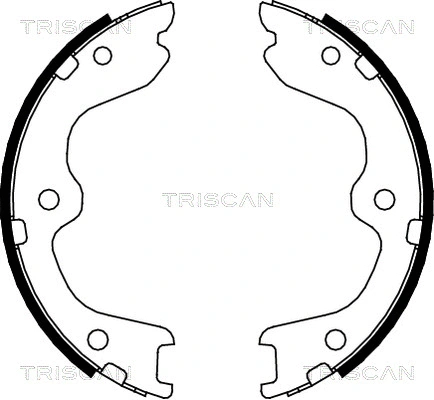 8100 14010 TRISCAN Комплект тормозных колодок, стояночная тормозная система (фото 1)