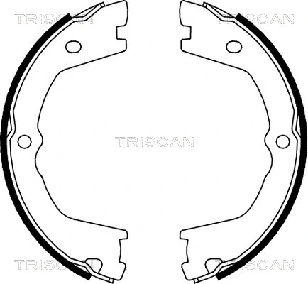 8100 15019 TRISCAN Комплект тормозных колодок, стояночная тормозная система (фото 1)