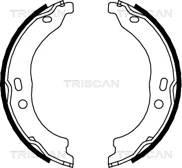 8100 15024 TRISCAN Комплект тормозных колодок, стояночная тормозная система (фото 1)