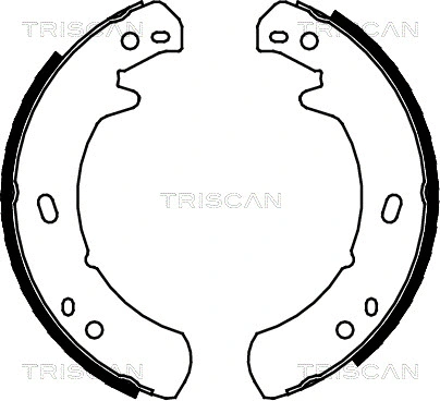8100 17012 TRISCAN Комплект тормозных колодок, стояночная тормозная система (фото 1)