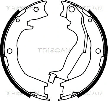 8100 18007 TRISCAN Комплект тормозных колодок, стояночная тормозная система (фото 1)