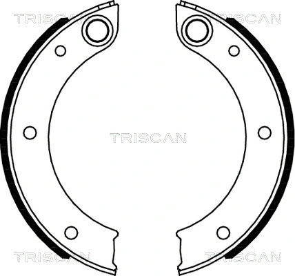 8100 20003 TRISCAN Комплект тормозных колодок, стояночная тормозная система (фото 1)