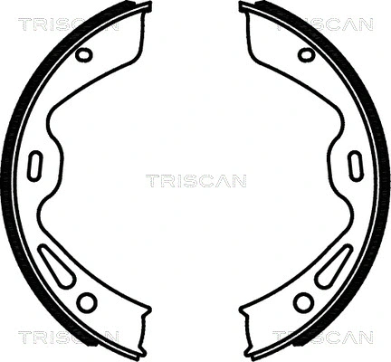 8100 20004 TRISCAN Комплект тормозных колодок, стояночная тормозная система (фото 1)