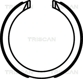 8100 21003 TRISCAN Комплект тормозных колодок, стояночная тормозная система (фото 1)