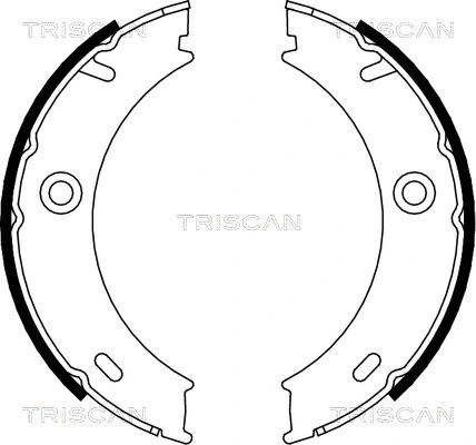 8100 23025 TRISCAN Комплект тормозных колодок, стояночная тормозная система (фото 1)
