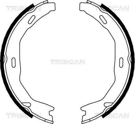 8100 23029 TRISCAN Комплект тормозных колодок, стояночная тормозная система (фото 1)