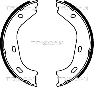 8100 23217 TRISCAN Комплект тормозных колодок, стояночная тормозная система (фото 1)