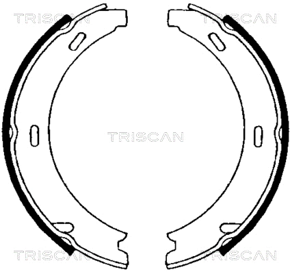 8100 23552 TRISCAN Комплект тормозных колодок, стояночная тормозная система (фото 1)
