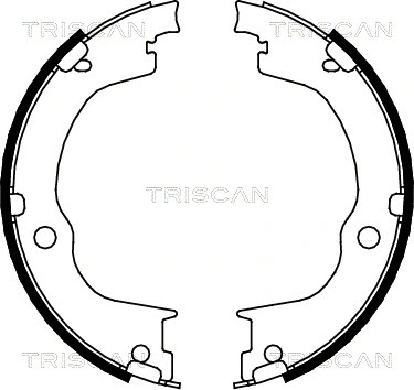 8100 24003 TRISCAN Комплект тормозных колодок, стояночная тормозная система (фото 1)