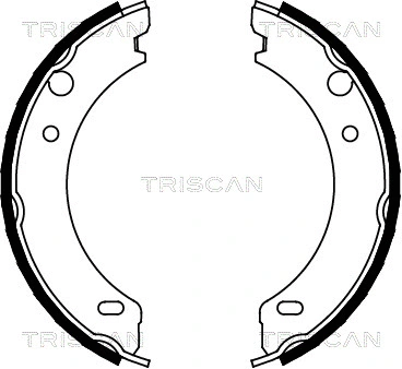 8100 27538 TRISCAN Комплект тормозных колодок, стояночная тормозная система (фото 1)
