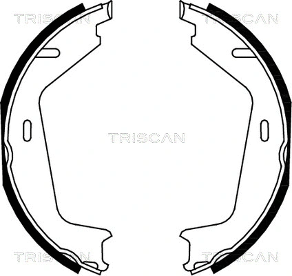 8100 27579 TRISCAN Комплект тормозных колодок, стояночная тормозная система (фото 1)